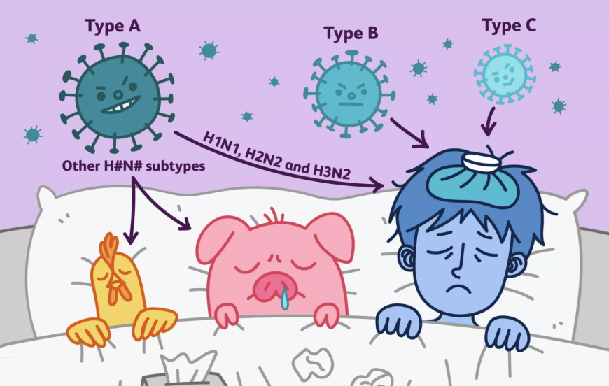 Influenza-tip-A-B-C-star-medica-3a9i0ykkuyftrl2wafbmyo